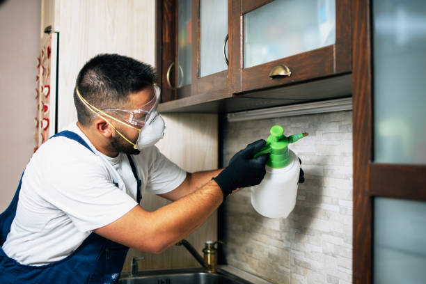 Best Pest Removal Services  in North Port, FL