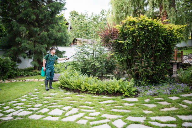 Best Commercial Pest Control Services  in North Port, FL