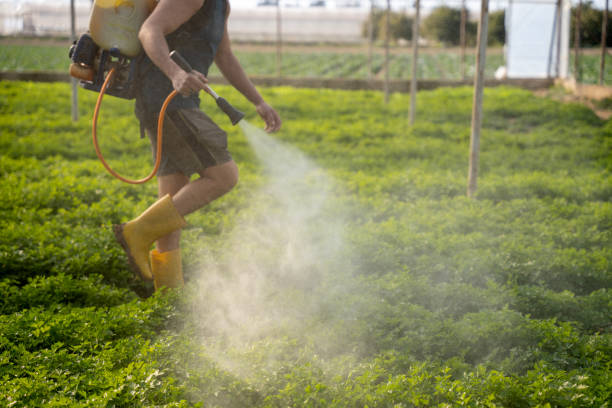 Best Pest Removal Services  in North Port, FL