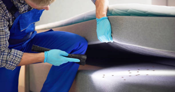 Best Local Pest Control Services  in North Port, FL